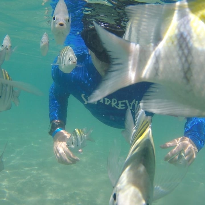 Semprevix - Agência de Viagens em Jardim Camburi, Vitória/ES - Foto 2