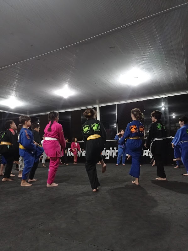 MFC - Monteiro Fight Company - Artes Marciais em Jardim Camburi, Vitória/ES - Foto 5