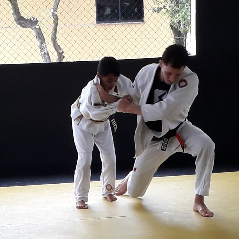 VICTURUS Escola de Jiu-Jitsu - Artes Marciais em Jardim Camburi, Vitória/ES - Foto 5