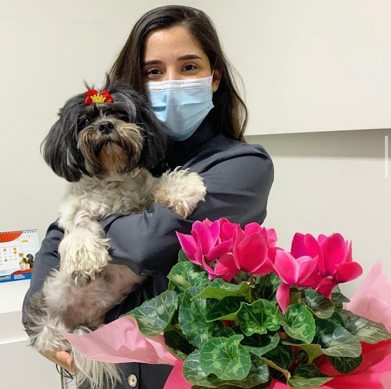 CENUV - Nefrologia e Diálise Veterinária - Clínica Veterinária em Jardim Camburi, Vitória/ES - Foto 4