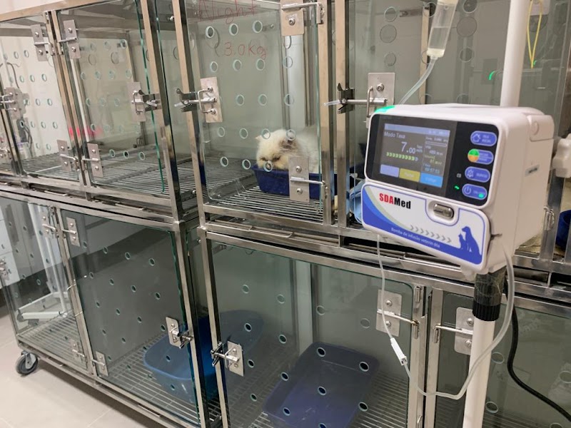 Foto 6 de Clínica Veterinária Vetkap