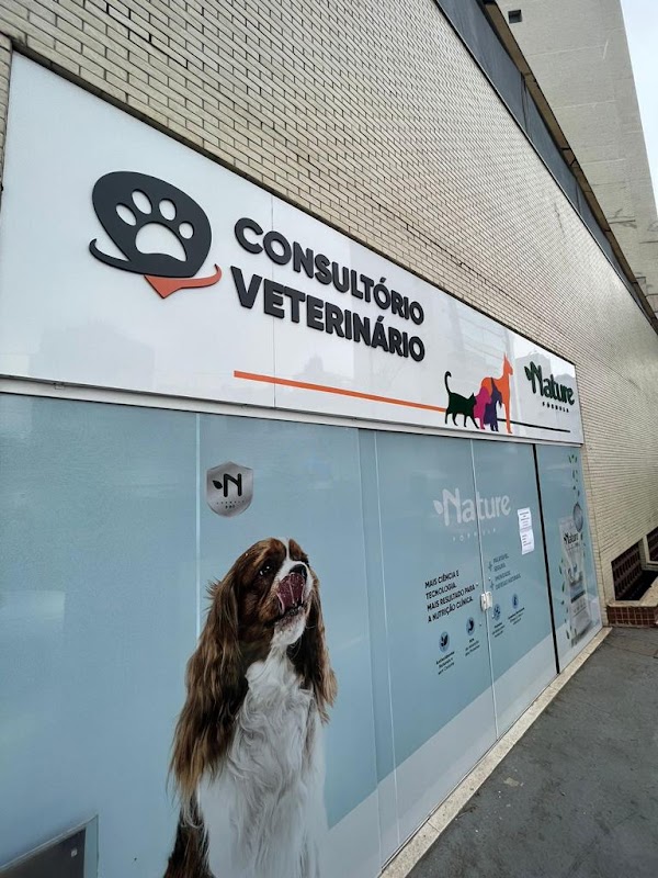 Consultório Veterinário Dra. Ana Carolina Teixeira Brandão