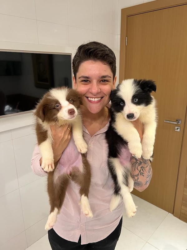 Dermato Vet - Dra Luiza Quintela - Clínica Veterinária em Jardim Camburi, Vitória/ES - Foto 2