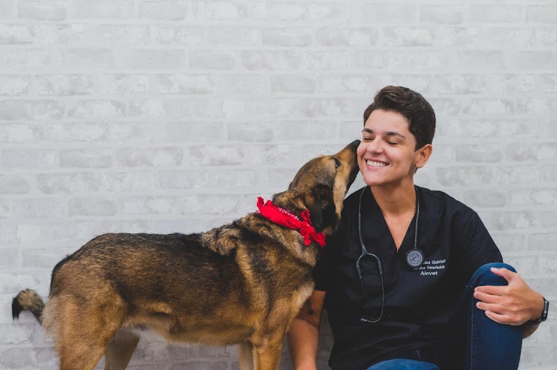 Dermato Vet - Dra Luiza Quintela - Clínica Veterinária em Jardim Camburi, Vitória/ES - Foto 4