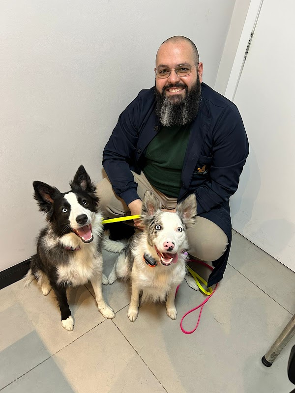 Dermatologia e Alergia Veterinária Dr° Marcelo Rimolo - Clínica Veterinária em Jardim Camburi, Vitória/ES - Foto 3