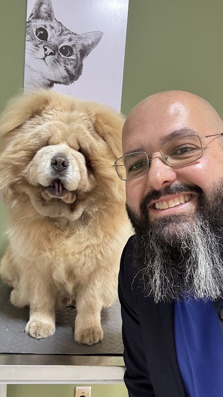 Dermatologia e Alergia Veterinária Dr° Marcelo Rimolo - Clínica Veterinária em Jardim Camburi, Vitória/ES - Foto 4