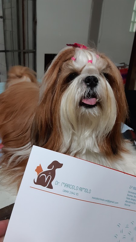 Foto 6 de Dermatologia e Alergia Veterinária Dr° Marcelo Rimolo