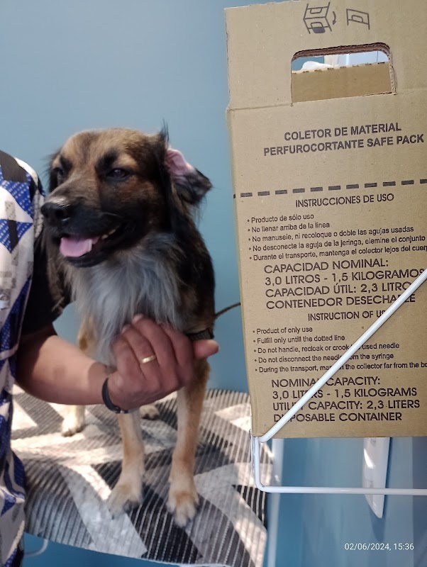 Instituto Veterinário Kondo - Clínica Veterinária em Jardim Camburi, Vitória/ES - Foto 4