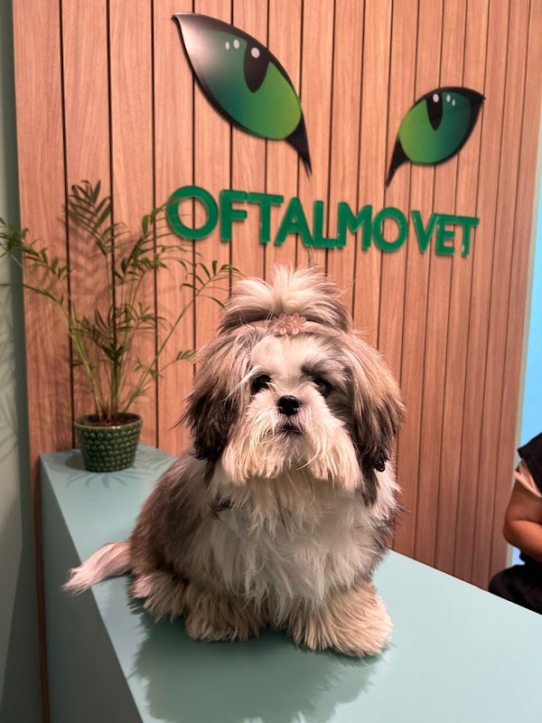 Oftalmo Vet - Clínica Veterinária em Jardim Camburi, Vitória/ES - Foto 3