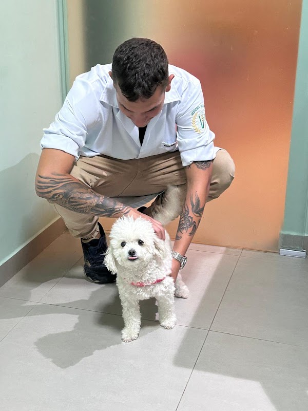 Oftalmo Vet - Clínica Veterinária em Jardim Camburi, Vitória/ES - Foto 5