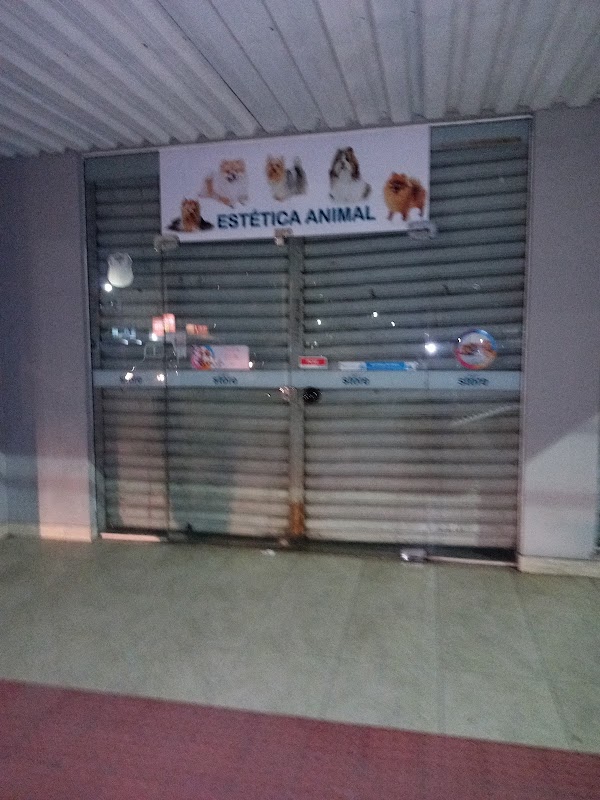 Pet Clinic - Clínica Veterinária em Jardim Camburi, Vitória/ES - Foto 4
