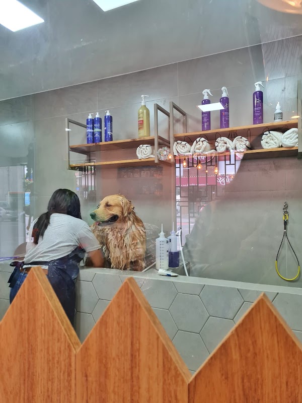 Petuniverso Vitória