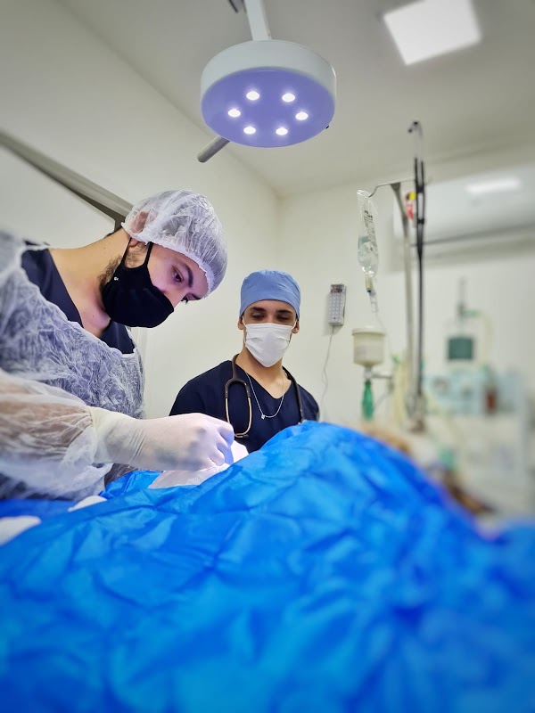 Petuniverso Vitória - Clínica Veterinária em Jardim Camburi, Vitória/ES - Foto 2