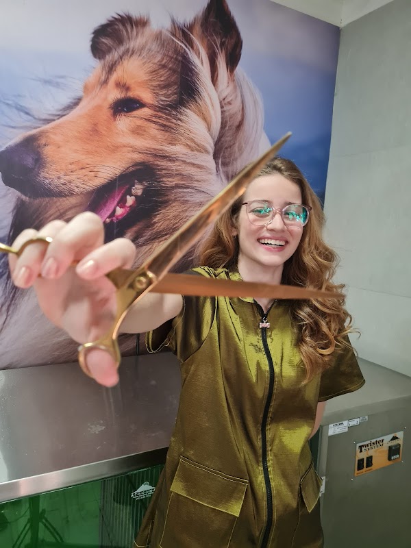 Petuniverso Vitória - Clínica Veterinária em Jardim Camburi, Vitória/ES - Foto 4