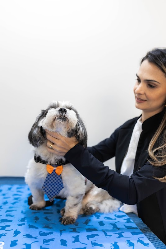 Quality Especialidades Veterinárias - Plantão 24h