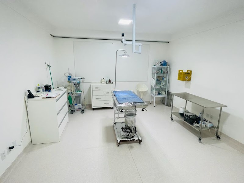 Quality Especialidades Veterinárias - Plantão 24h - Clínica Veterinária em Jardim Camburi, Vitória/ES - Foto 4