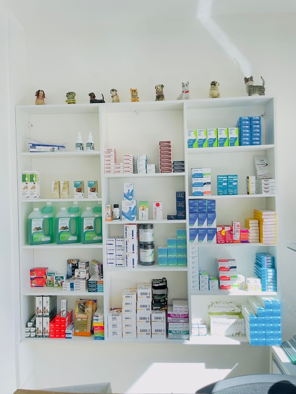 Foto 6 de Quality Especialidades Veterinárias - Plantão 24h