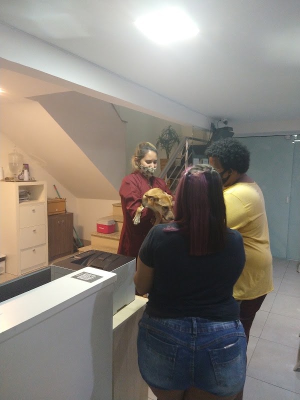 Vet Saúde Hospital Veterinário 24 horas - Clínica Veterinária em Jardim Camburi, Vitória/ES - Foto 3