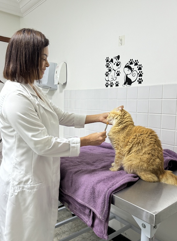 Veterinária Dra. Melissa Correa - Consultório e Atendimento em Domicílio - Clínica Veterinária em Jardim Camburi, Vitória/ES - Foto 2
