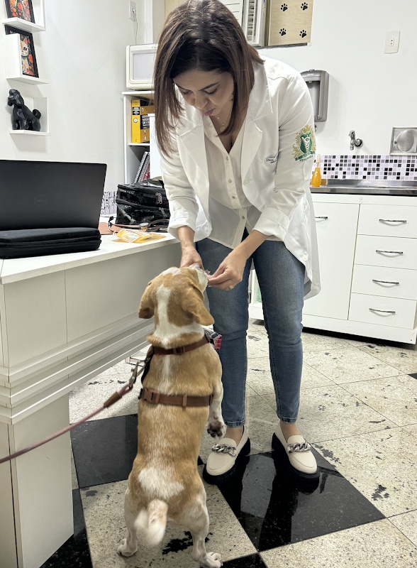 Veterinária Dra. Melissa Correa - Consultório e Atendimento em Domicílio - Clínica Veterinária em Jardim Camburi, Vitória/ES - Foto 5