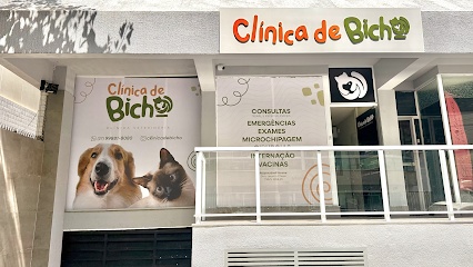 Clínica de Bicho