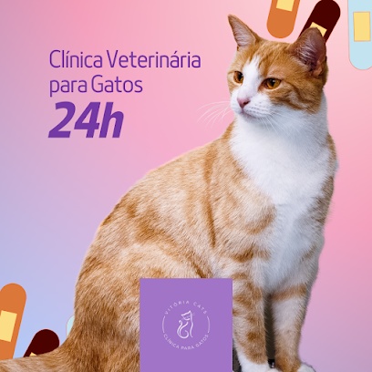 Clínica Veterinária Vitória Cats