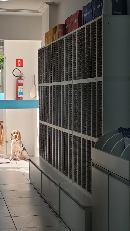 Kumon Jardim Camburi - Herwan Modenese - Curso Profissionalizante em Jardim Camburi, Vitória/ES - Foto 4