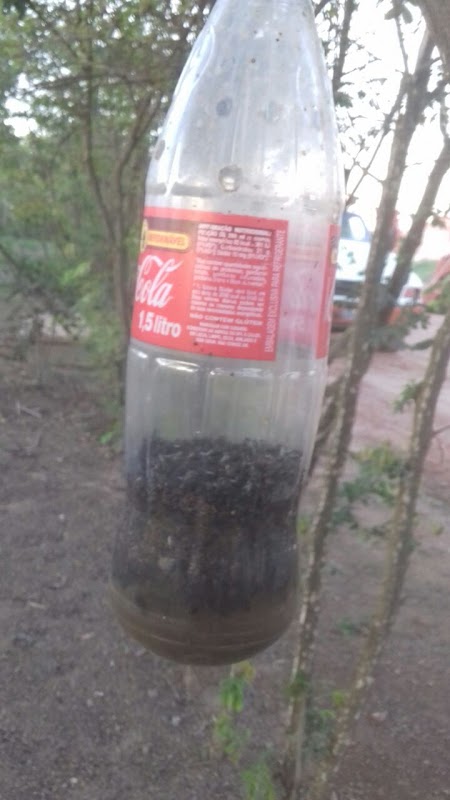 Extermine Pragas Urbanas - Dedetizadora em Jardim Camburi, Vitória/ES - Foto 3