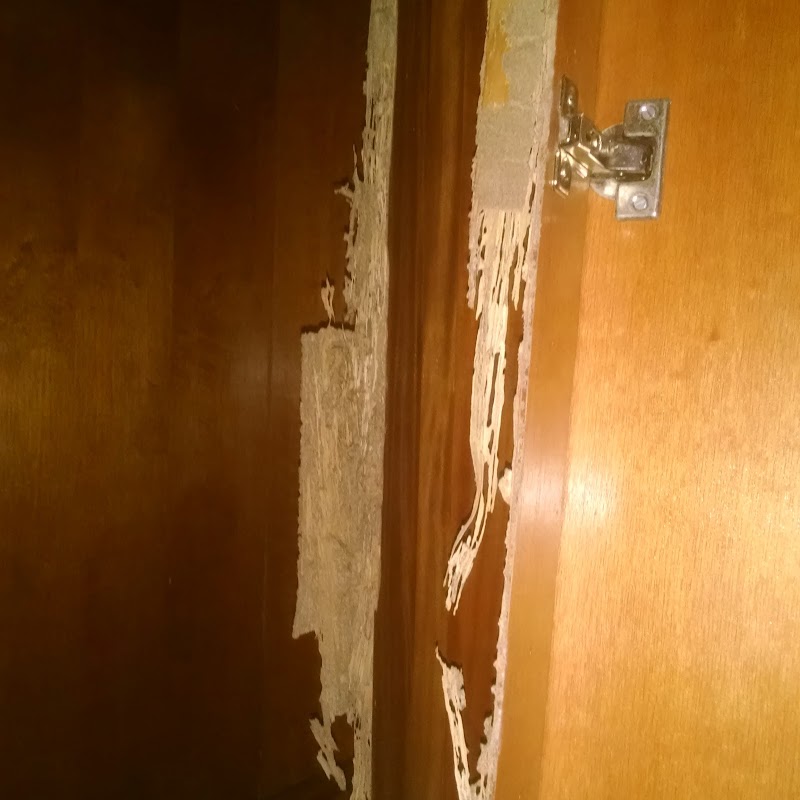 Extermine Pragas Urbanas - Dedetizadora em Jardim Camburi, Vitória/ES - Foto 5