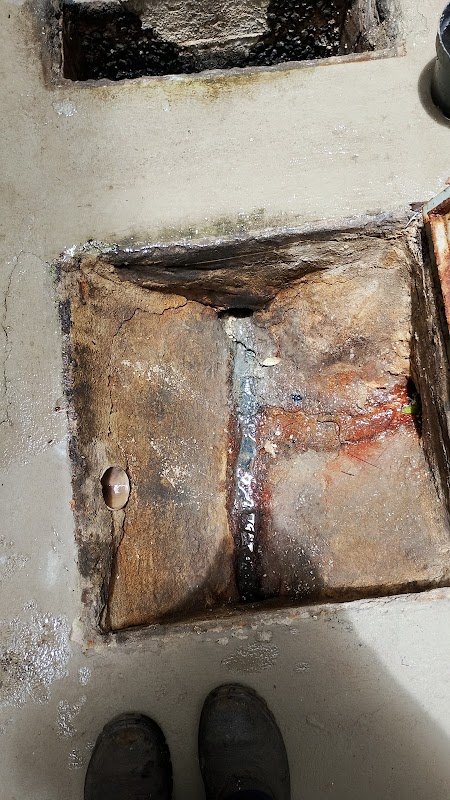 Hm desentupidora e dedetização - Dedetizadora em Jardim Camburi, Vitória/ES - Foto 2