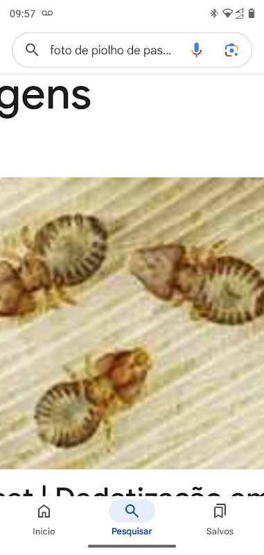 Hm desentupidora e dedetização - Dedetizadora em Jardim Camburi, Vitória/ES - Foto 5