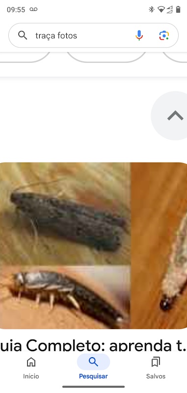 Foto 6 de HM Desentupidora e Dedetização