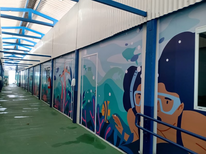 CMEI Rubens Vervloet Gomes - Escola em Jardim Camburi, Vitória/ES - Foto 2