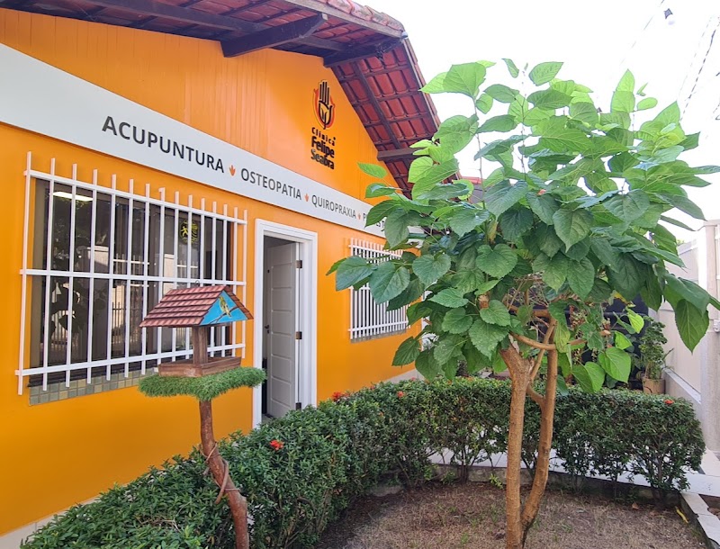 Clínica Felipe Seabra - Pilates | Osteopatia | Quiropraxia - Fisioterapia em Jardim Camburi, Vitória/ES - Foto 3