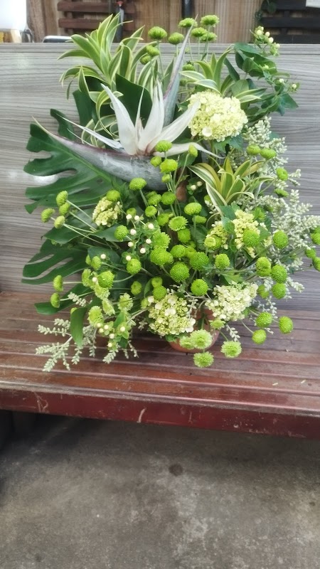 Floricultura Chão de Estrelas - Floricultura em Jardim Camburi, Vitória/ES - Foto 2