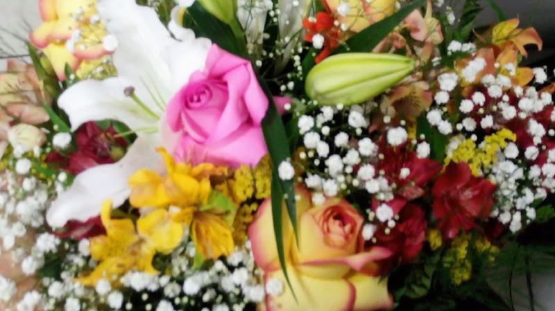 Jolie Flores - Floricultura em Jardim Camburi, Vitória/ES - Foto 2