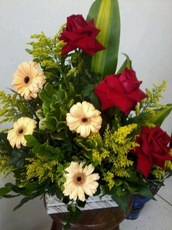 Jolie Flores - Floricultura em Jardim Camburi, Vitória/ES - Foto 3