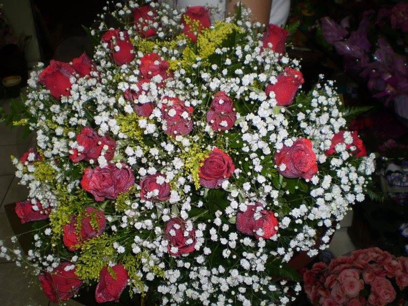Foto 6 de Jolie Flores