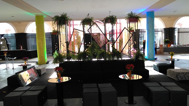Toque Verde - Floricultura em Jardim Camburi, Vitória/ES - Foto 4