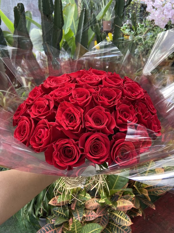 Foto 6 de Vitória Flowers | Buquês e Presentes
