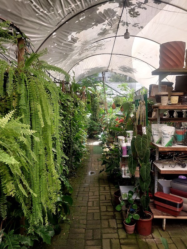Vitoria Garden Floricultura