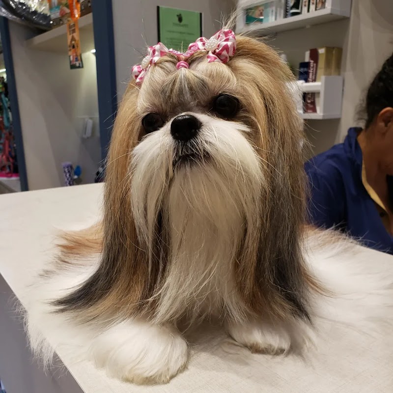 Le Petit Pet Shop - Pet Shop em Jardim Camburi, Vitória/ES - Foto 4