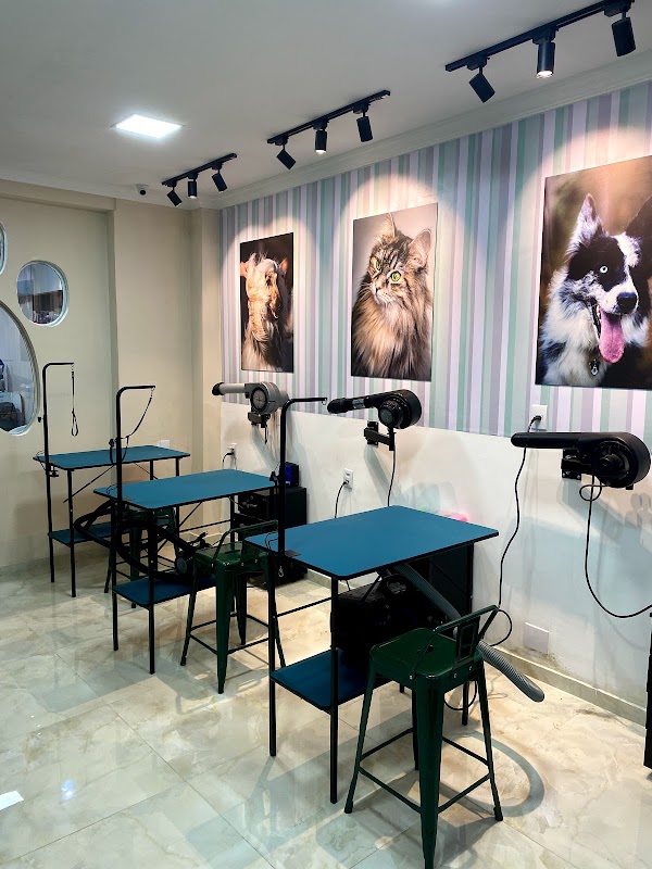 Pet dos Meninos - Pet Shop em Jardim Camburi, Vitória/ES - Foto 2