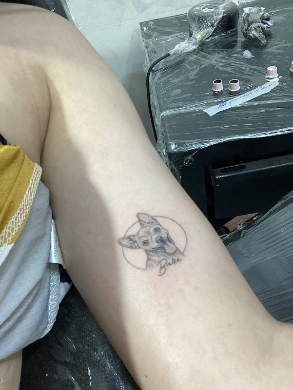 Katty Tatuagem Delicada