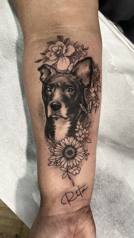 Tattoo & Piercing Studio Edinho Tattoo Jc