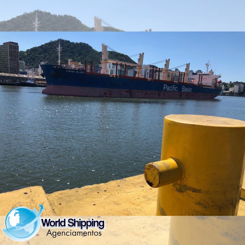 World Shipping Agenciamentos Ltda - Transportadora em Jardim Camburi, Vitória/ES - Foto 5