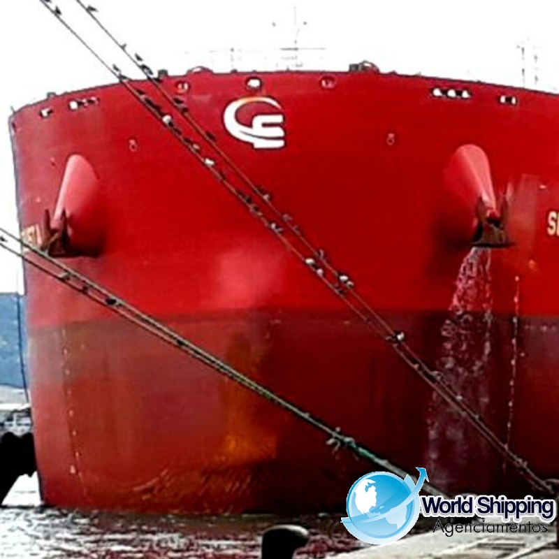 Foto 6 de World Shipping Agenciamentos Ltda